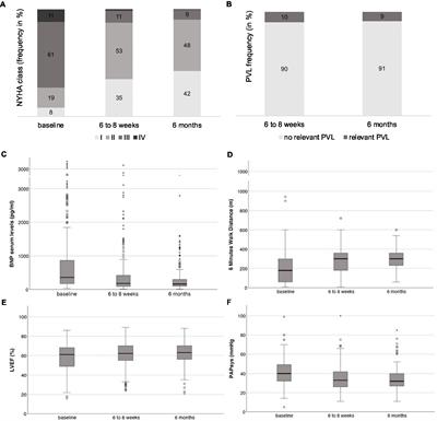 Prognostic relevance of mitral and tricuspid regurgitation after transcatheter aortic valve implantation: Impact of follow-up time point for decision-making
